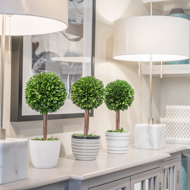 Drift Dunwoody - Indoor Plants on Living Room