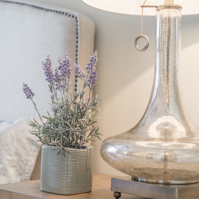 Drift Dunwoody - Indoor Plants on Living Room