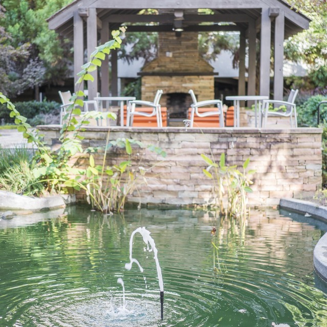 Drift Dunwoody - Relaxing Zen Garden with Koi Pond and Lounge Area